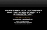 Psychiatry Behind Bars: The Young Inmate Profile in Psychiatric Treatment at a Special Prison Facility