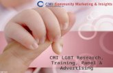 CMI LGBT Research, Training, Panel & Advertising