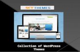 Get WordPress Themes Trusted by More than 500,000 Customers