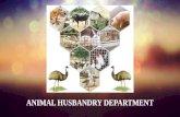 Animal husbandry department