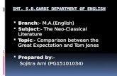 Comparison between tom jones and great expectation p 2