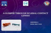 A glimpse through scleral contact lenses (PROSE)