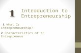 intro to entrepreneurship characteristics