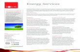 TEAM Energy Services - Energy Consultancy Support