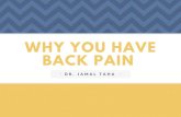 Why You Have Back Pain | Dr. Jamal Taha