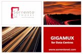 Sorrento Networks GigaMux for the Datacenter