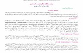 Urdu adobe photoshop (iqbalkalmati.blogspot.com)