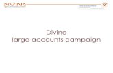 Divine Campaign Large Accounts 2016 LVH
