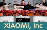 Xiaomi Inc, Bursting Wonder