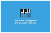 Solutions throughout the Leather Process