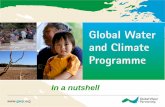IDMP CEE Global Water and Climate Programme by Natalia Alexeeva