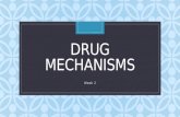 Week 2 Drug Mechanisms