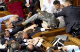 Fights in Parliaments