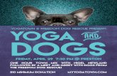 Yoga and Dogs Poster