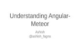 Understanding angular meteor