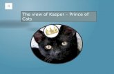 Kasper prince of cats