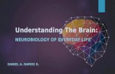 Understanding The Brain: Neurobiology of Everyday Life