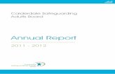 Csab annual report