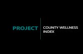 County Ranking Index