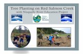 Red salmon creek presentation