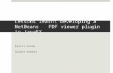 Lession Learnt Developing a NetBEans PDF Viewer Plugin in JavaFX