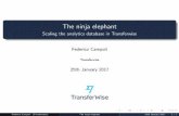 The ninja elephant, scaling the analytics database in Transwerwise