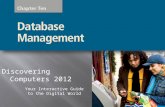 Chapter 10   database management