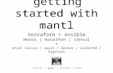 Getting started with Mantl