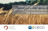 Estimating mobilized private climate finance for adaptation