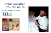3. Organ and Tissue Donation