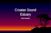 Croatan sound