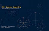 Ibm quantum computing