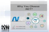 Why You Choose .Net? 
