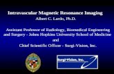089 intravascular magnetic resonance imaging