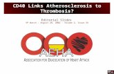 235 does cd40 link atherosclerosis to thrombosis