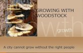 GROWING WITH WOODSTOCK(3)