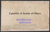 Cynefin: A Sense of Place