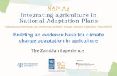 Building an evidence base for climate change adaptation in agriculture: The Zambian Experience