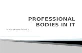 Professional bodies in it