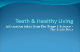 Teeth & Healthy Living