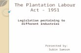 The plantation labour act   1951