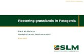 Restoring grasslands in Patagonia