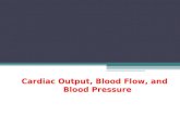 Cardiac output, blood flow, and blood pressure