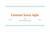 Common Sense Agile