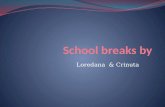 School breaks