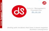 DS Crisis Management Foundation - Lifecycle