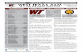WT Softball Game Notes (4-6-17)