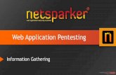 Web Application Penetration Tests - Information Gathering Stage