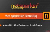 Web Application Penetration Tests - Vulnerability Identification and Details Review