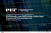 MIT Fintech / Commerce Certificate Program